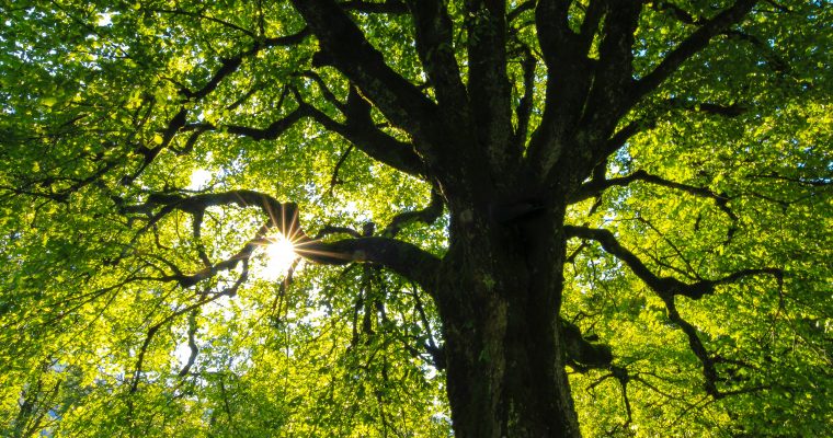 Nach der Auszeit: zurück in den Alltag